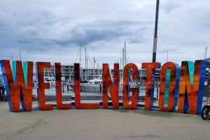 L'odyssée historique à pied de Wellington