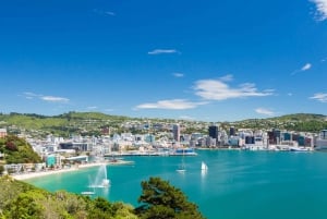 Wellington's Lord of the Rings Half-Day Tour
