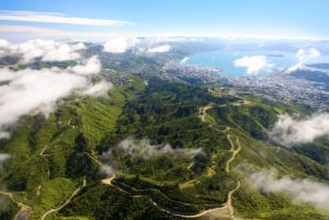 Zealandia: The Ecosanctuary Tickets
