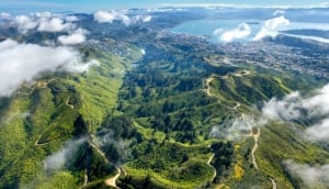 Best Things To Do with Kids in Wellington
