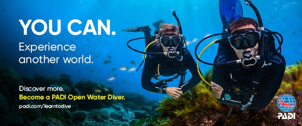 Learn to SCUBA Dive