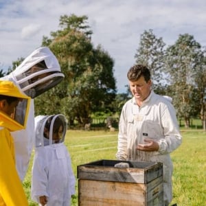 Small-Group Beekeeping Experience in Tauherenikau