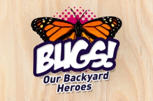 BUGS! Our Backyard Heroes