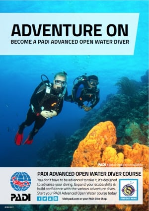 Explore the Underwater World