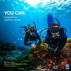 Learn to SCUBA Dive!