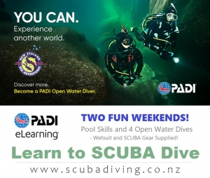 Learn to SCUBA Dive!
