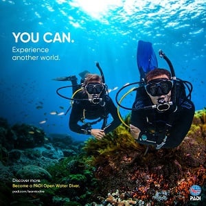 Learn to SCUBA Dive