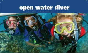 PADI Open Water Diver course