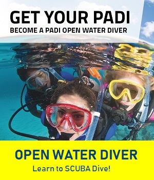 PADI Open Water Diver Course