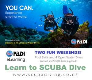 PADI Open Water Diver Course