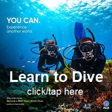 PADI Open Water Diver Course
