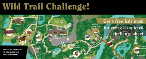 Staglands Wild Trail Challenge