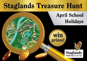 Wanna go on a Treasure Hunt?