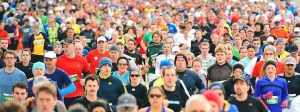 Wellington Marathon 2017