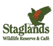 Wild Discoveries these April School Holidays at Staglands!