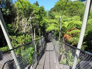 Botanic Gardens Bridge