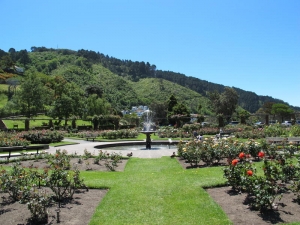 Lady Norwood Rose Garden