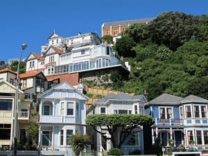 Oriental Bay Houses