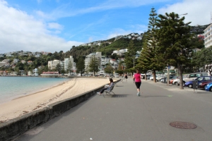 Oriental Bay