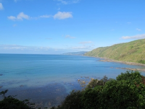 The Kapiti Coast