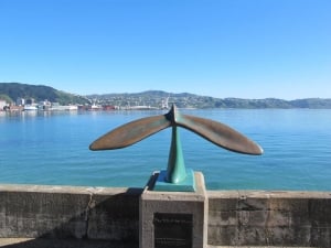 The Tail of the Whale