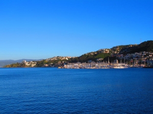 Wellington Harbour