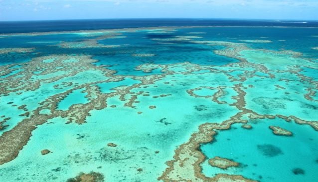 Coral Reefs & Luxury Resorts in the Whitsundays