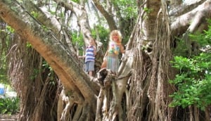 Family Fun in the Whitsundays