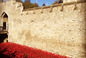 3-timmars rundvandring i Londons stadskärna