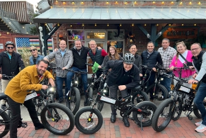 Visite autonome en vélo électrique des jardins Airlie de Wilmington (3 h 25)