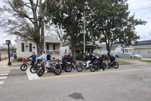 Visite autonome en vélo électrique des jardins Airlie de Wilmington (3 h 25)