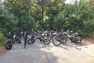 Visite autonome en vélo électrique des jardins Airlie de Wilmington (3 h 25)