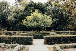 Visite autonome en vélo électrique des jardins Airlie de Wilmington (3 h 25)