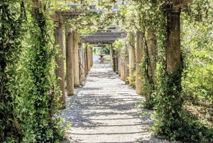 Visite autonome en vélo électrique des jardins Airlie de Wilmington (3 h 25)