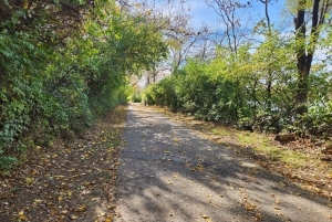 Visite autonome en vélo électrique des jardins Airlie de Wilmington (3 h 25)