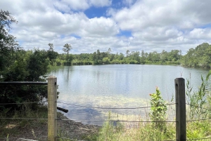 Visite autonome en vélo électrique des jardins Airlie de Wilmington (3 h 25)