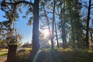 Visite autonome en vélo électrique des jardins Airlie de Wilmington (3 h 25)