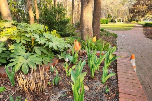 Visite autonome en vélo électrique des jardins Airlie de Wilmington (3 h 25)