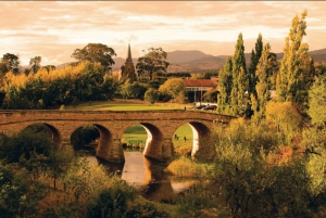 Destaques da Tasmânia em 3D: Hobart, Port Arthur e Ilha Bruny