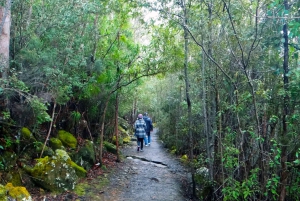 48-uurs stadsrondleiding door Hobart en Mt Wellington