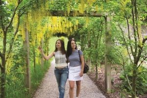 6-dages rundtur i Sydirland fra Dublin