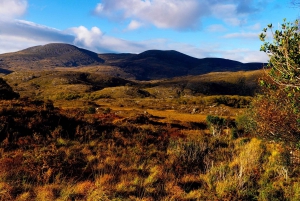 6-dages rundtur i Sydirland fra Dublin