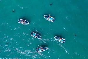 Airlie: Adventure Jet Ski Tour From Airlie Beach