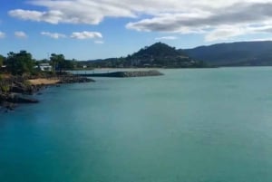 Airlie Beach: 1.5 hour kayak hire depart Shingley Beach