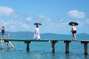 Airlie Beach: #1 Sightseeing Explorer 3 tunnin kiertoajelu.
