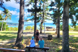 Airlie Beach: #1 Sightseeing Explorer 3 tunnin kiertoajelu.