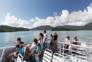 Airlie Beach: Half Day Cruise Direct to Whitehaven Beach