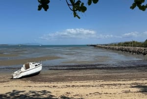 Airlie Beach: Vacker dagsutflykt till Bowen och Flagstaff Hill.