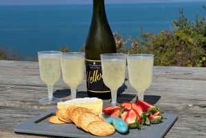 Airlie Beach: Vacker dagsutflykt till Bowen och Flagstaff Hill.