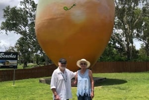 Airlie Beach: Vacker dagsutflykt till Bowen och Flagstaff Hill.